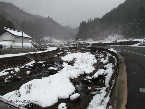 6640ƻ�Ͻ���Ѥ�141213