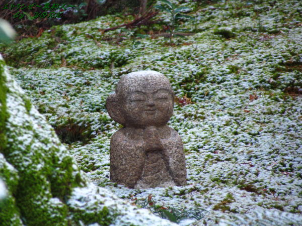 1140������¢��111225