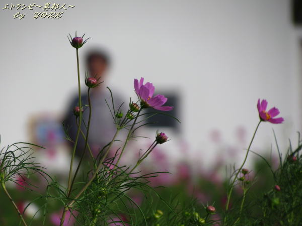 9338��������130928