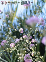 �Ķ��Ȥ�������