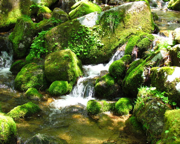 �ɻ桡1396��ή(�����ҡ�1280��1024