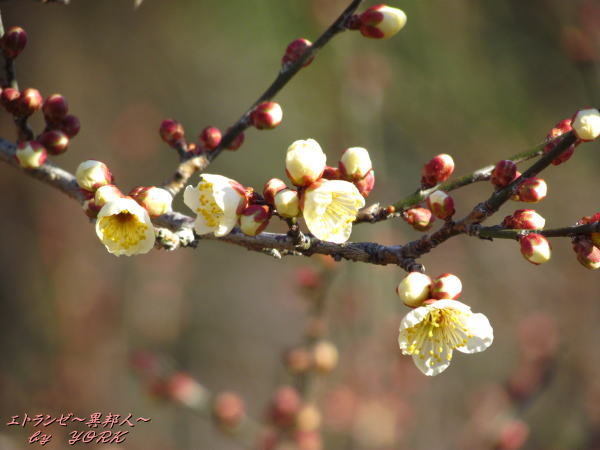 1606��餭������120219