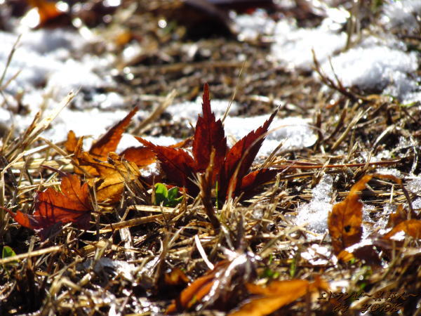 1256��������120102