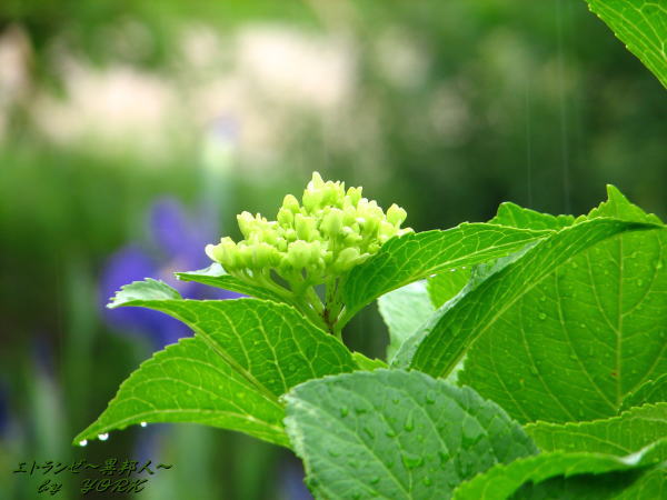 0983���۲֤ȱ�20110612