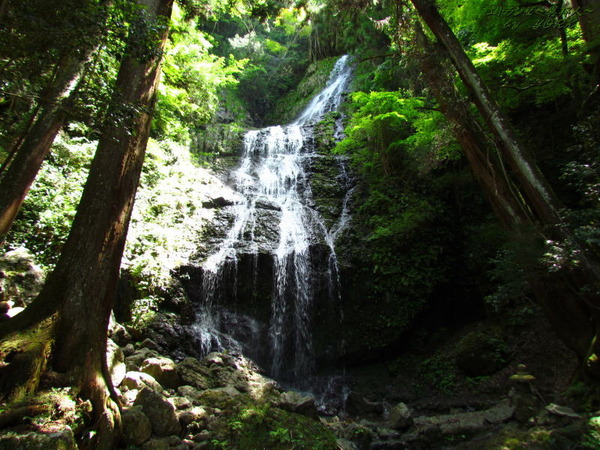 8594��ζ����150517