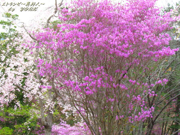 0904���ĥĥ�140413