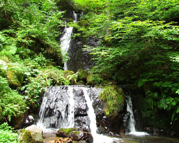 �ɻ桡3804���ߤ���(���Į��1280��1024