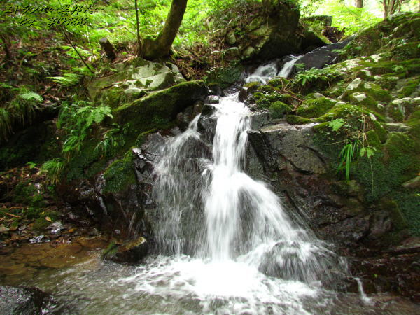 3748���ߤ���β�����140915