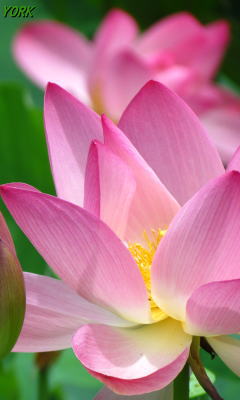 �����ѡ�9271ϡ2015ǯ��240��400