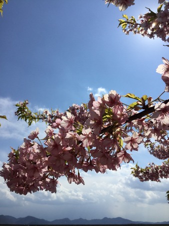 DF57B180-FCC1-4820-B74F-83C752ED9EE6