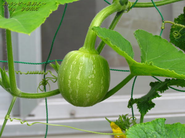 3247���ܥ���120610