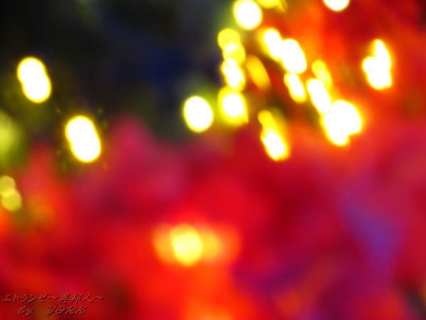 1068�ԥ�ܤ������111222