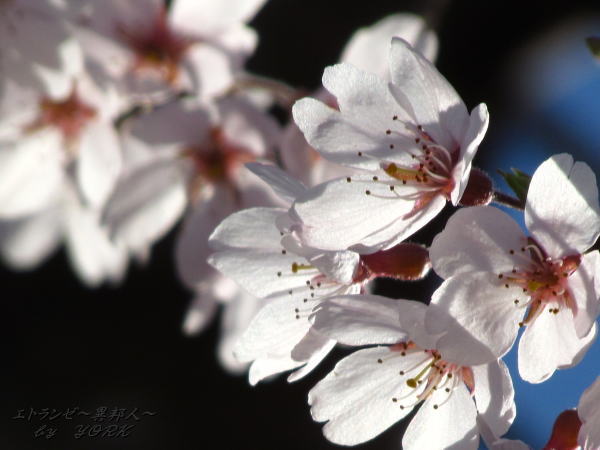 0730���������λ޿������å�140330