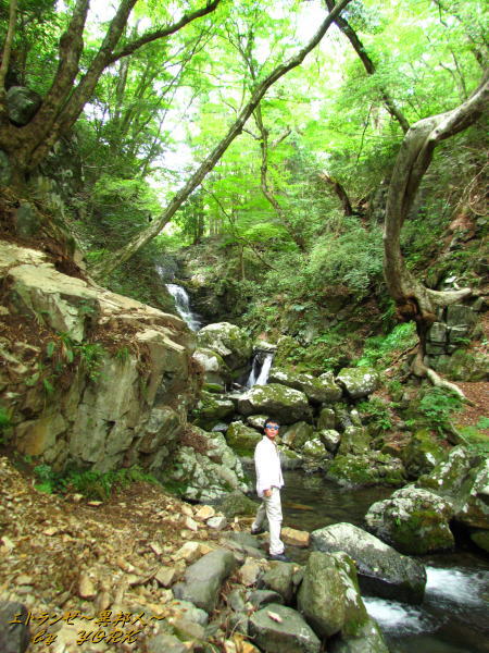 3688��ʥ�����©��140915