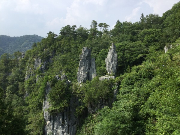 D7907F3C-8D7B-4BF2-9D46-137B55473850