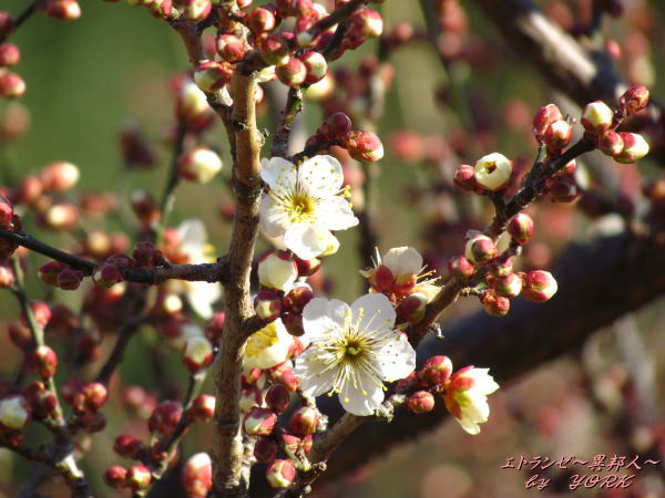1603��餭������120219