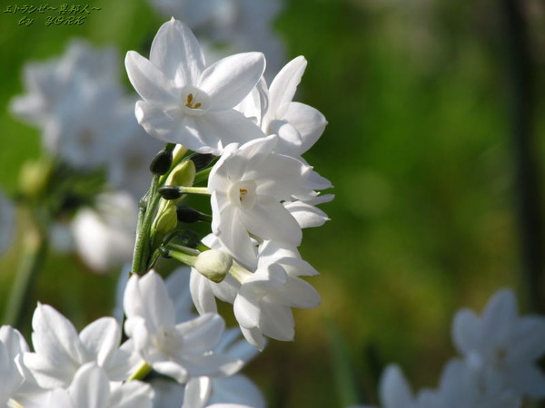 1982�����170204