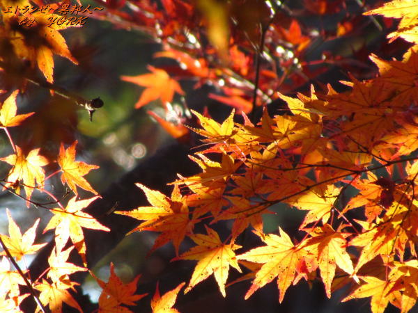 0800���տ��Ť�131123