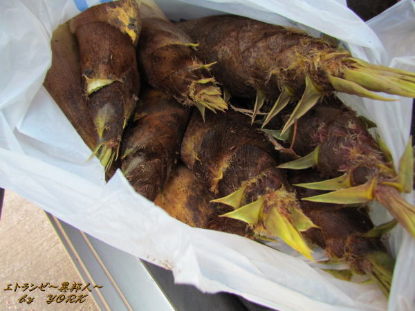 8461˭��Υ����Υ�ã150430