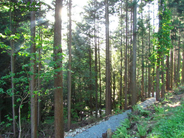 8548ͷ��ƻ����������Ƥ���150505