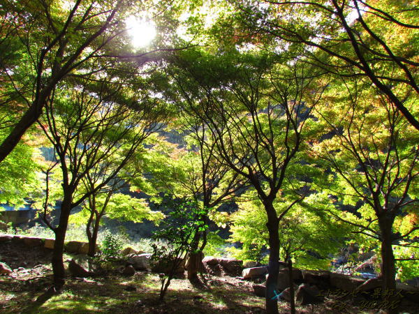 0615���ո��ȱ�111112