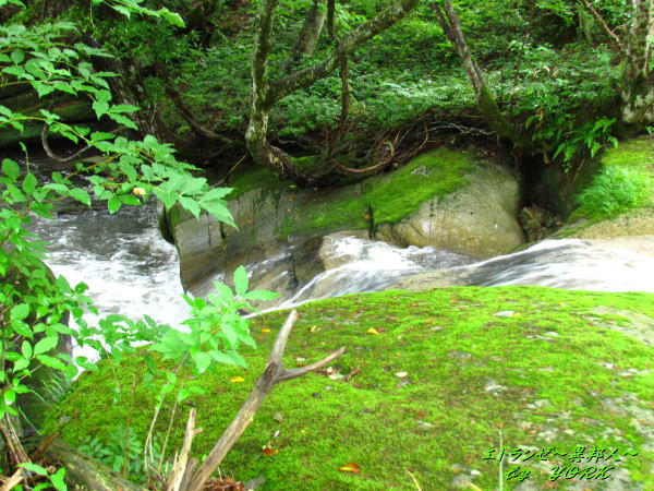 1814�󸮲����������������140622