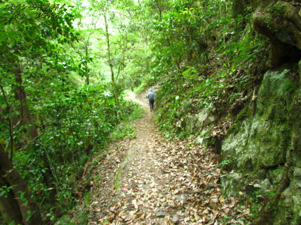 7541����⻳ƻ�Ǥ���130526