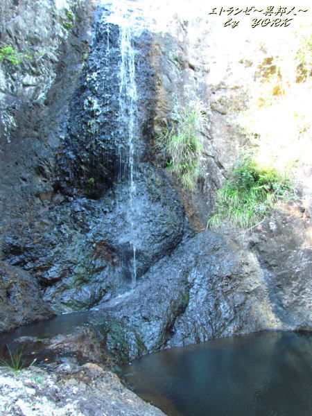 8520��ë����130821