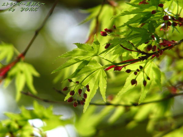 0472���դβ�110429