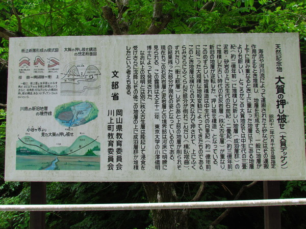 6294���ǥå���������180610