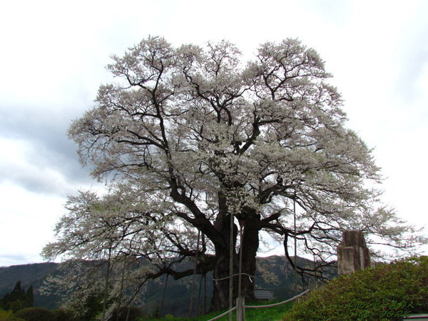 2432����120421