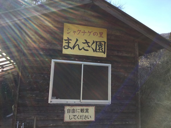 2E6BB389-4E16-4E9A-B05F-E4EBEC38E978