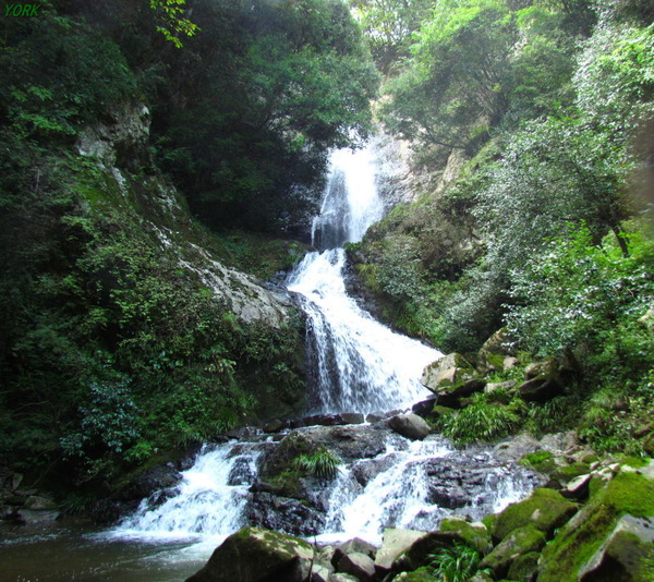 ���ޥ��ѡ�3571���ڤ���960��854