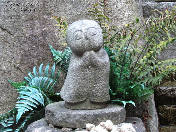 5711ϻ��Ʋ�ι羸��¢�͡�121223