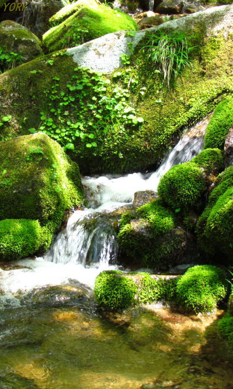 �����ѡ�1396��ή�������ҡ�480��800