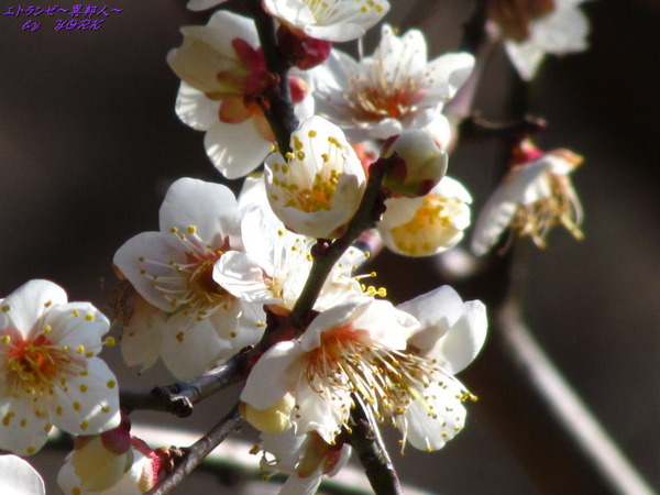 1992����170204