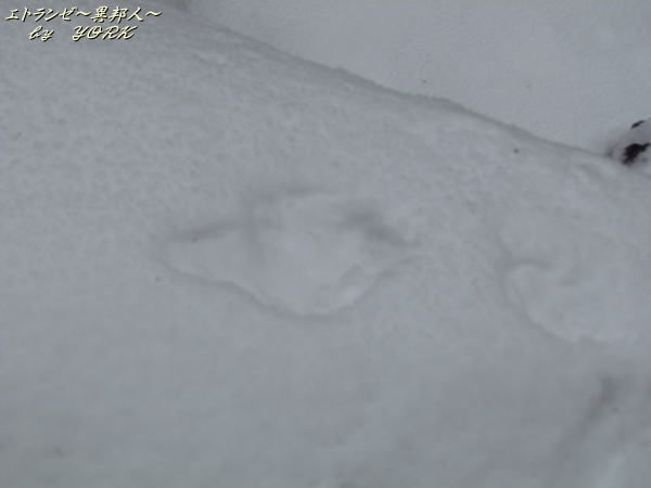 7409����­�פ���150215