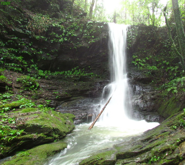 ���ޥ��ѡ�3488���������960��854