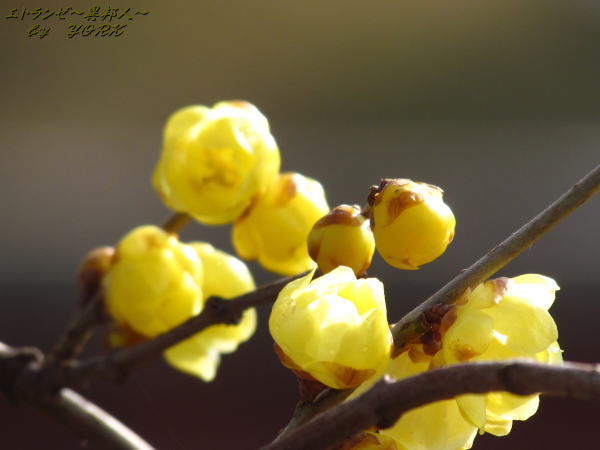 1363����������Х�120122