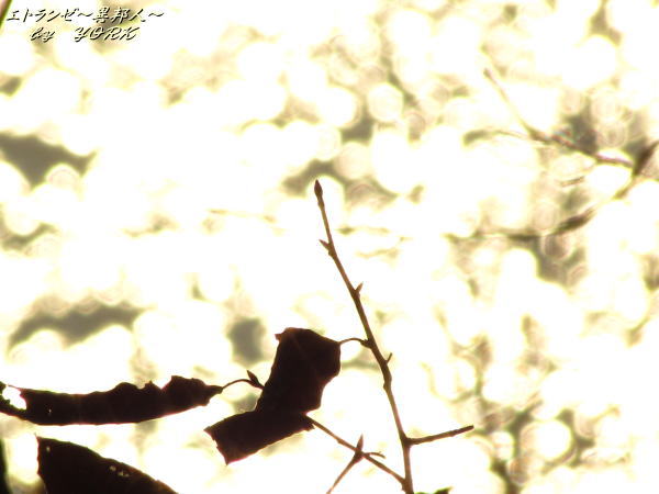 1331����������120114