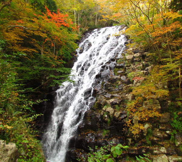 ���ޥ��ѡ�5442��������960��854