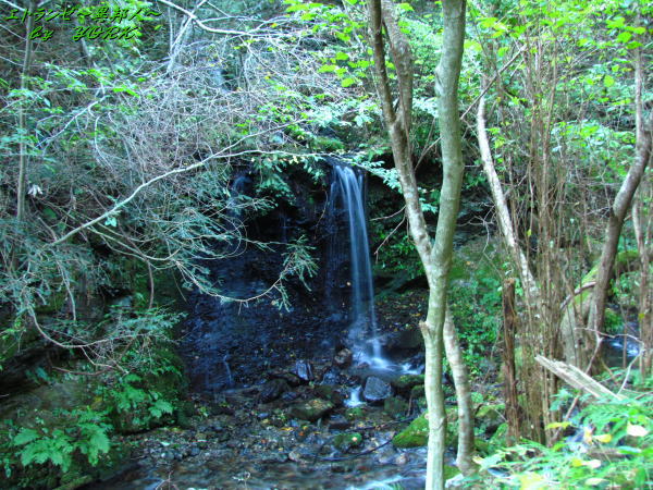 5361�����л����᤯����141019