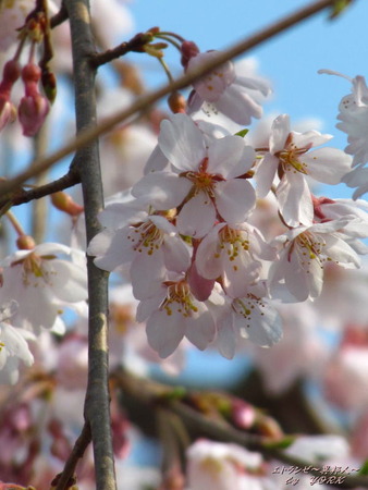 5803�޿���180325