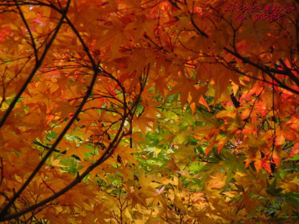 5027����121110