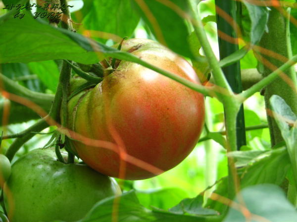 1282�ȥޥ�110723