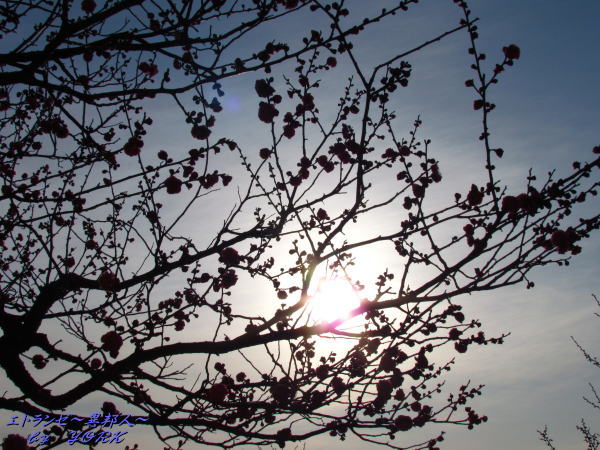 6186�ո��ι���130209