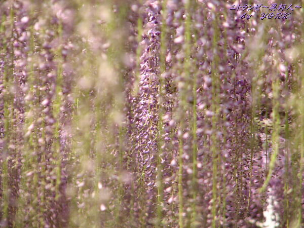 0544���� ƣ��110508��