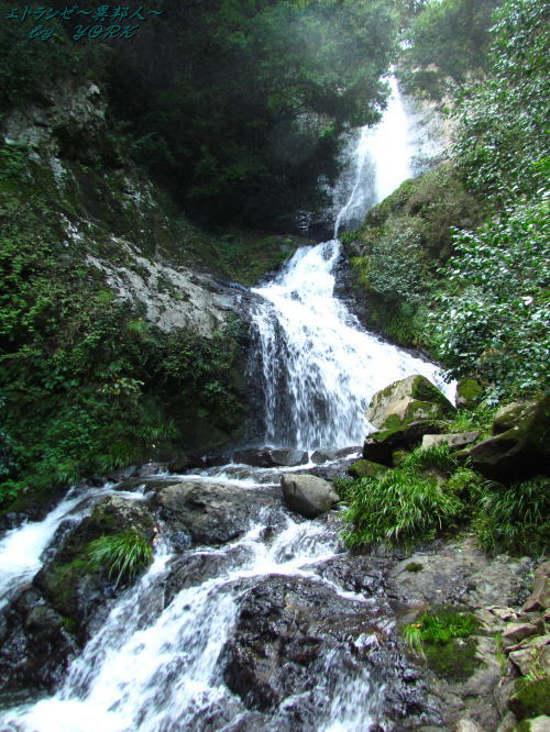 3577���ڤ���140831