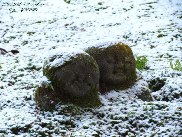 1125���鱡�Τ�����¢�¤��111225