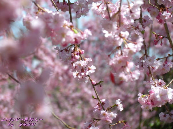 2363�޿���120415